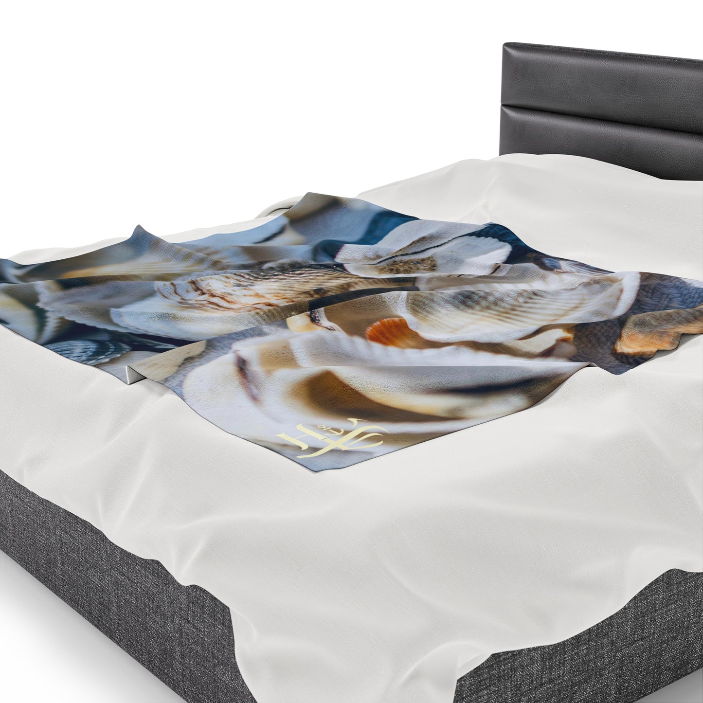 Velveteen Plush Blanket - Shells