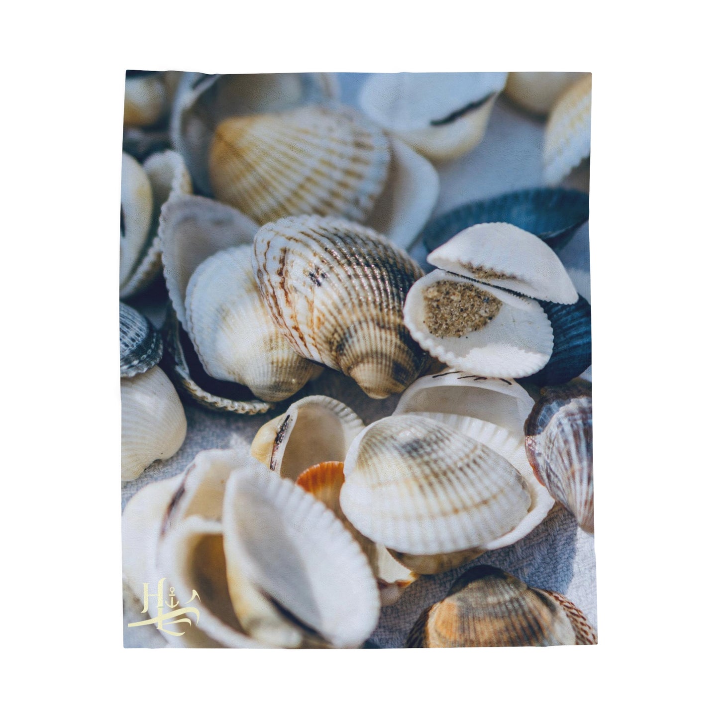 Velveteen Plush Blanket - Shells