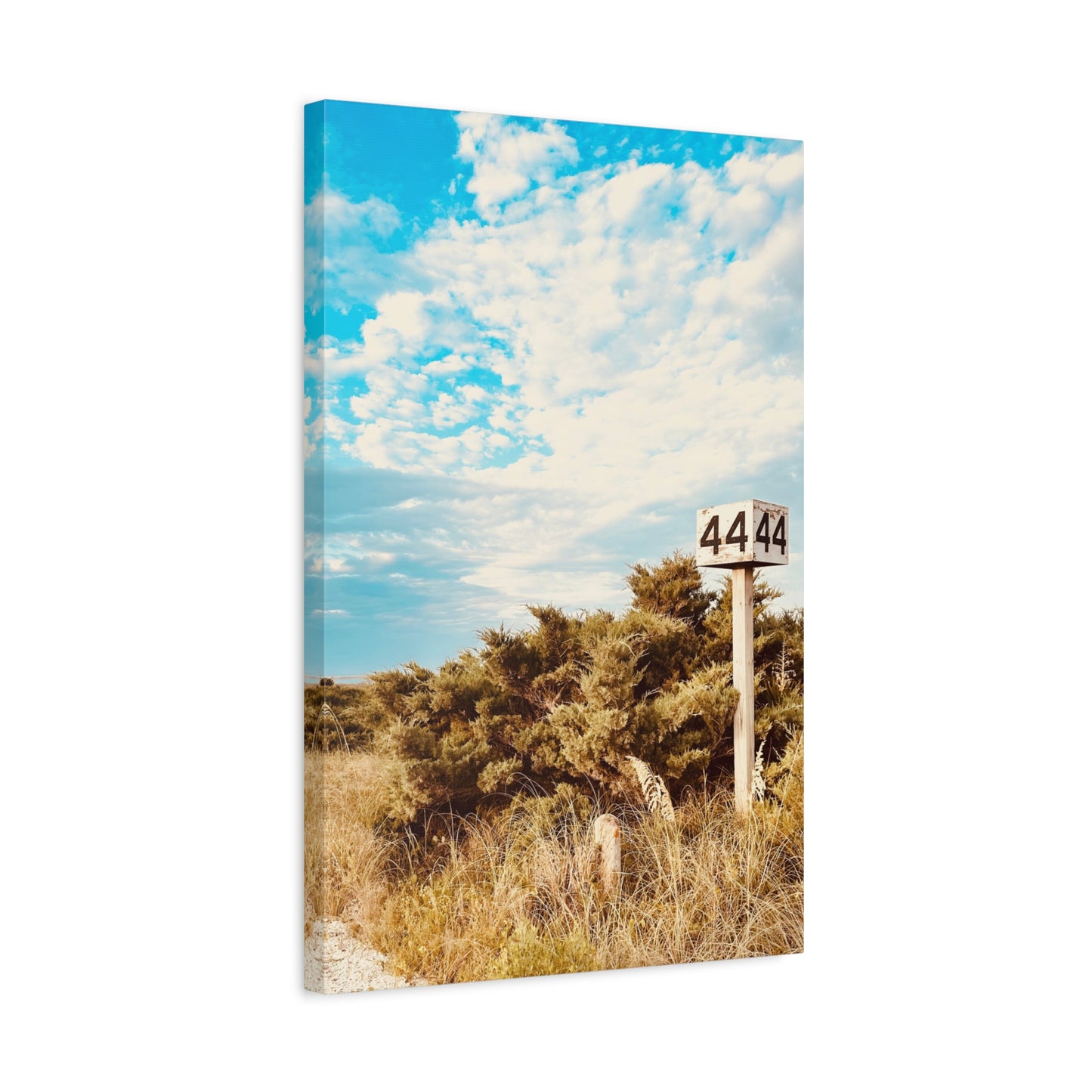 Ramp 44 Matte Canvas