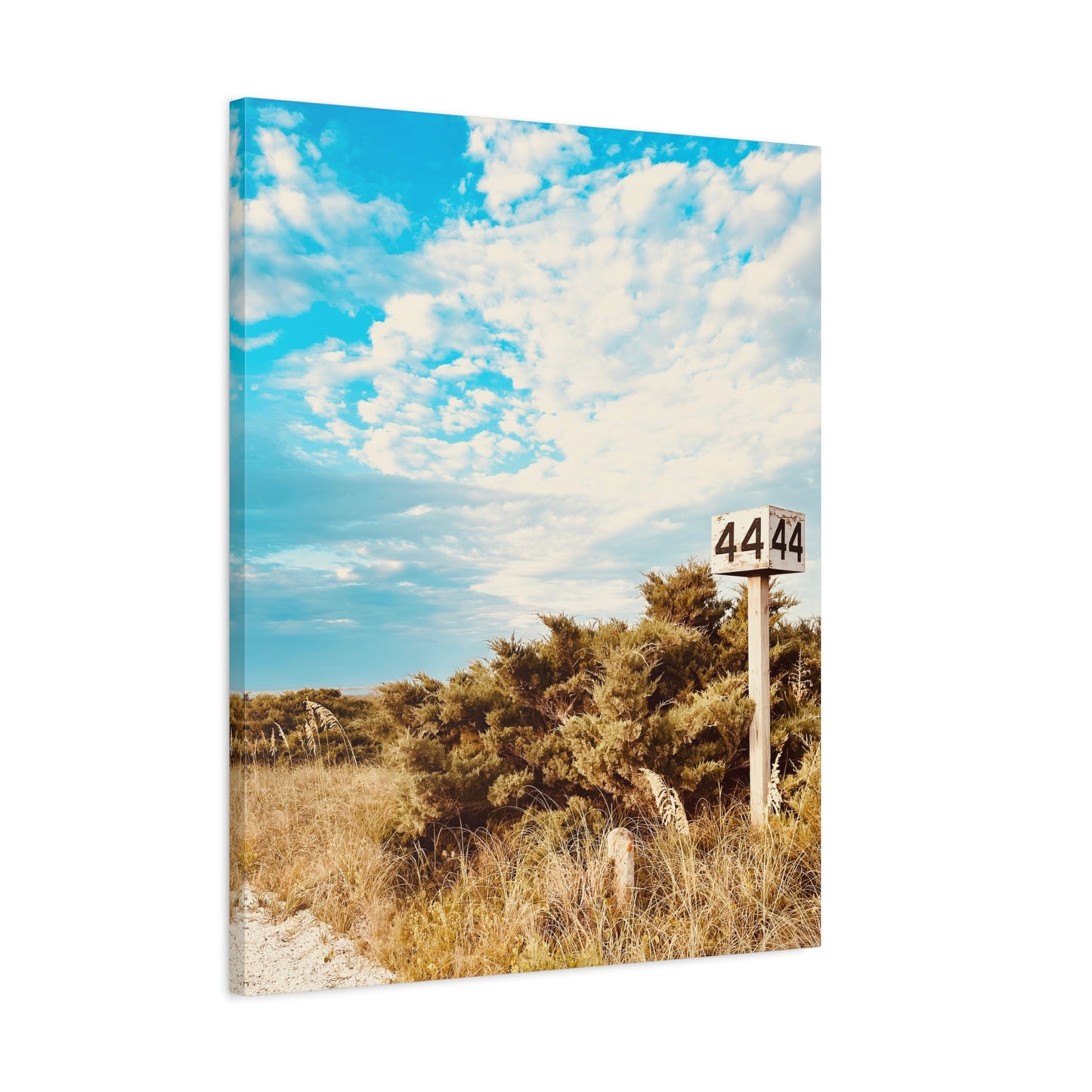 Ramp 44 Matte Canvas