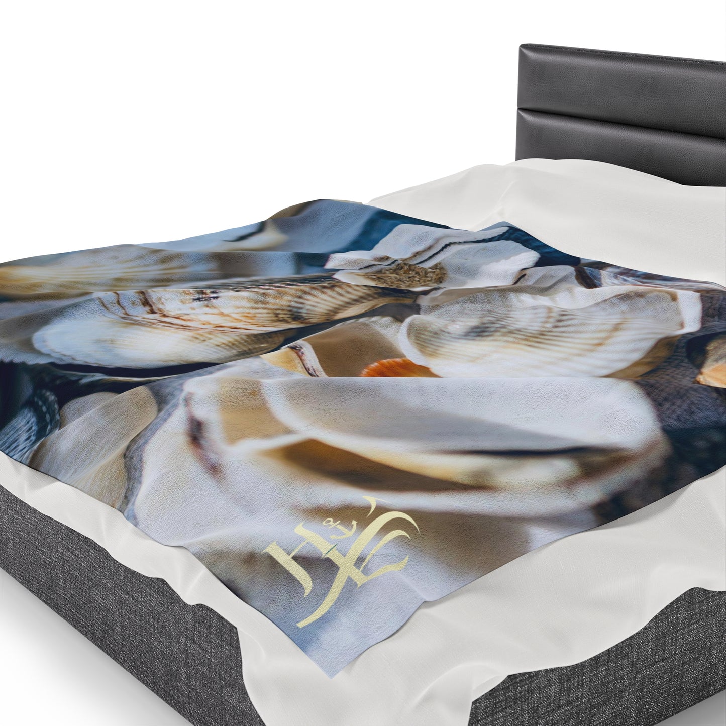 Velveteen Plush Blanket - Shells
