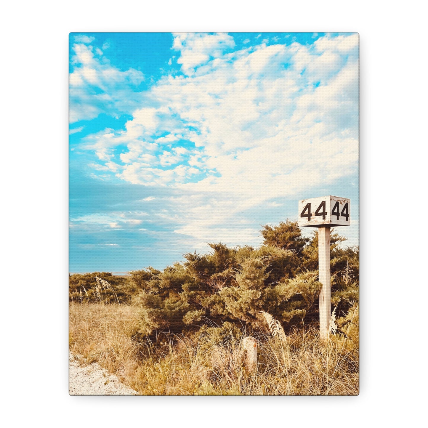 Ramp 44 Matte Canvas