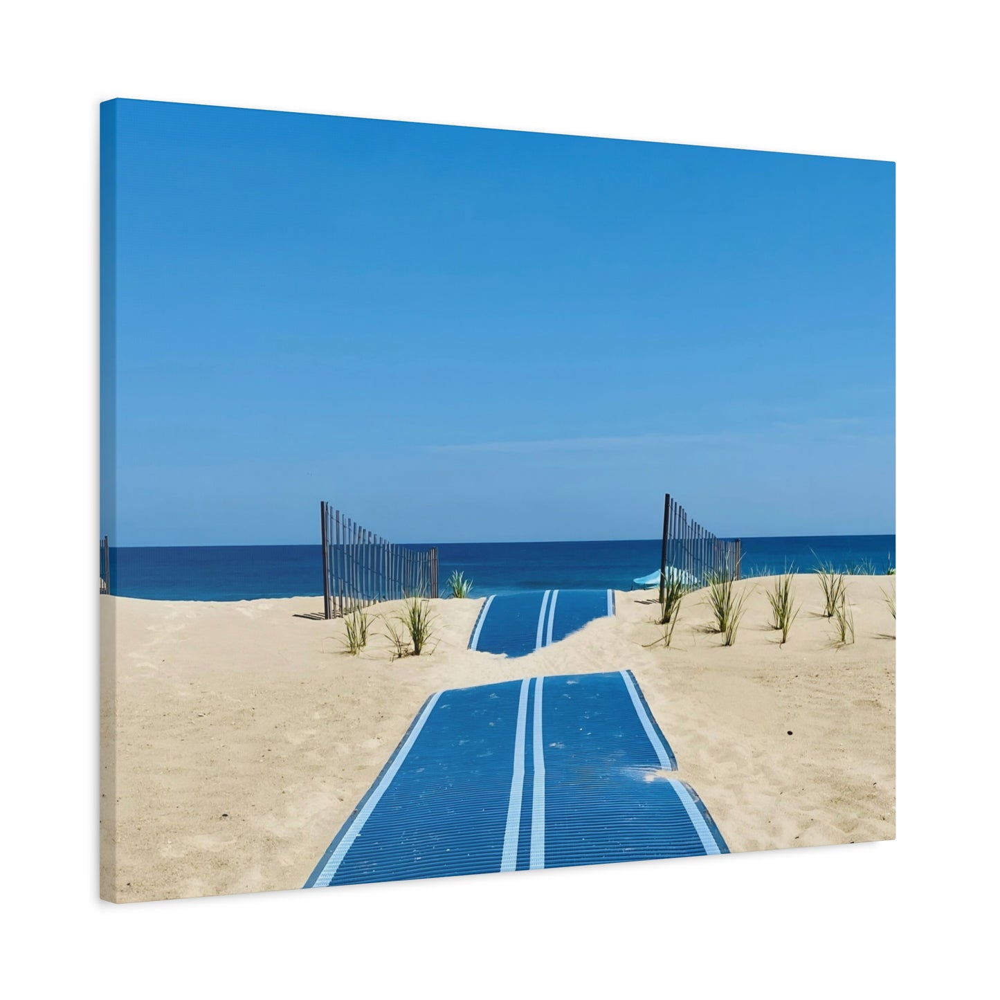 Infinity Walk Matte Canvas