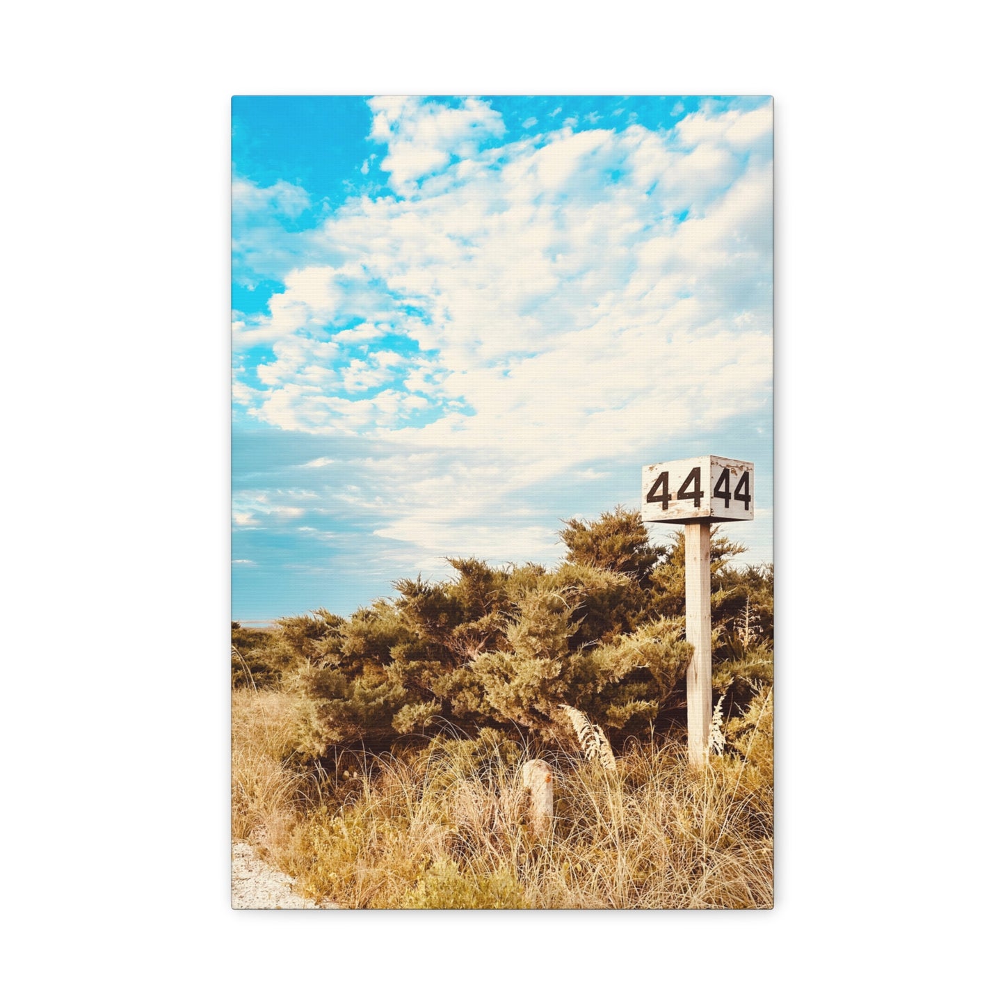 Ramp 44 Matte Canvas