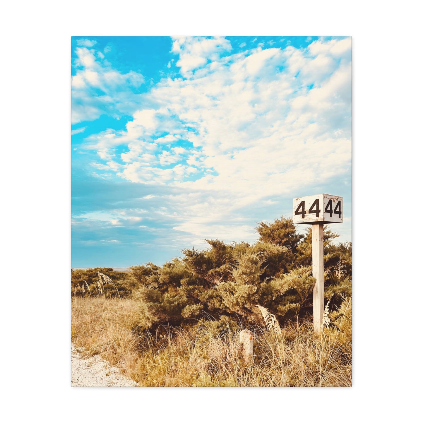 Ramp 44 Matte Canvas