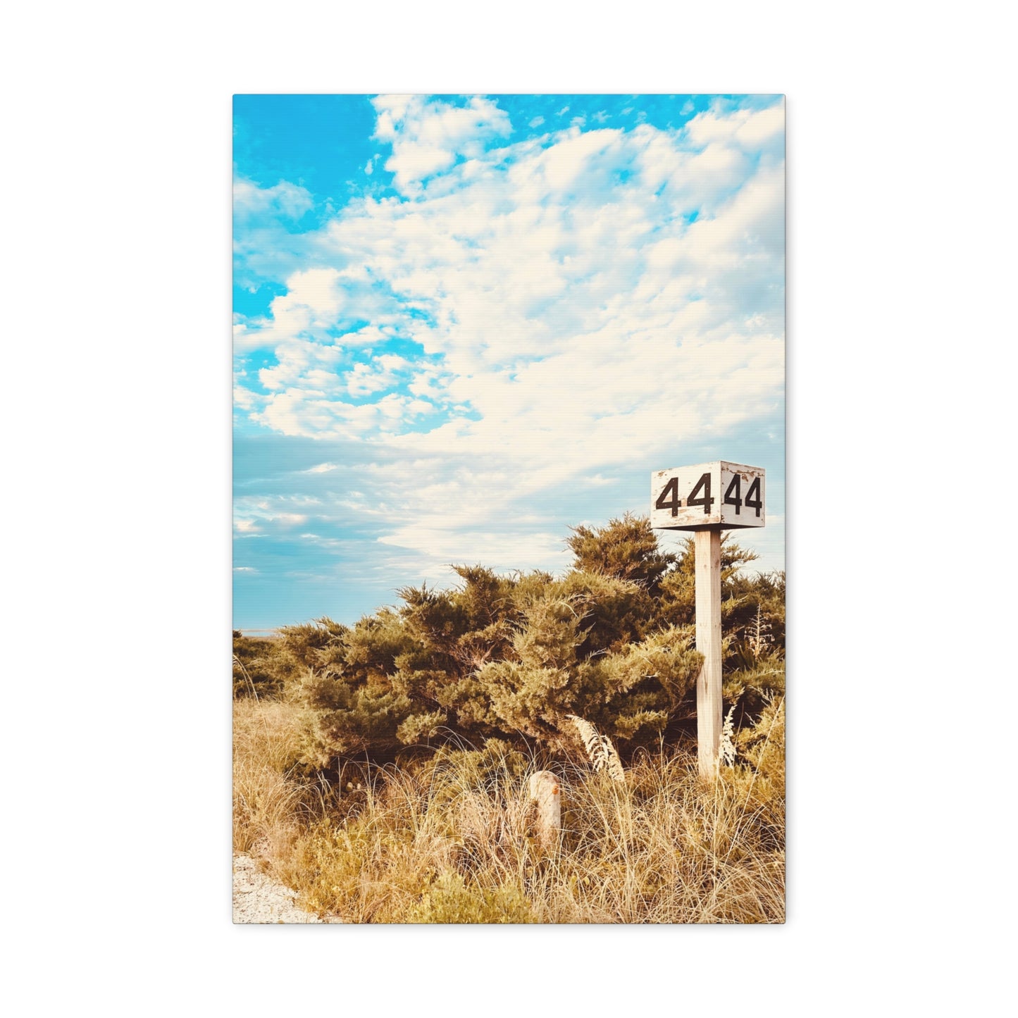 Ramp 44 Matte Canvas