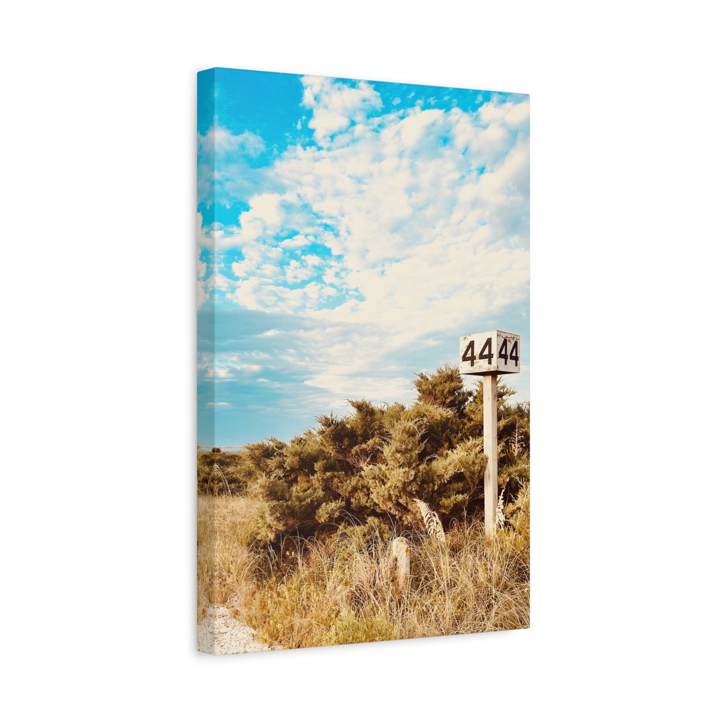 Ramp 44 Matte Canvas