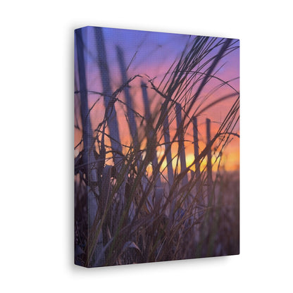 Canvas Gallery Wraps - Sunrise in the Dunes