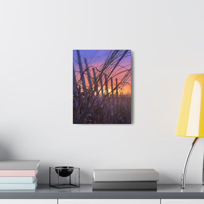 Canvas Gallery Wraps - Sunrise in the Dunes