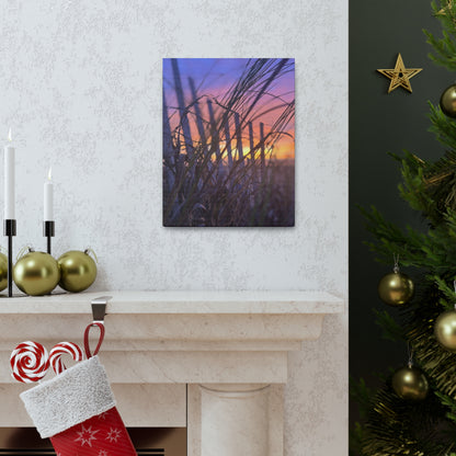 Canvas Gallery Wraps - Sunrise in the Dunes