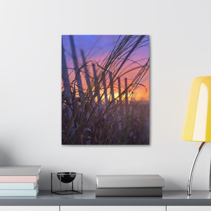 Canvas Gallery Wraps - Sunrise in the Dunes