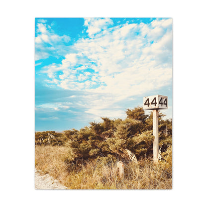 Ramp 44 Matte Canvas