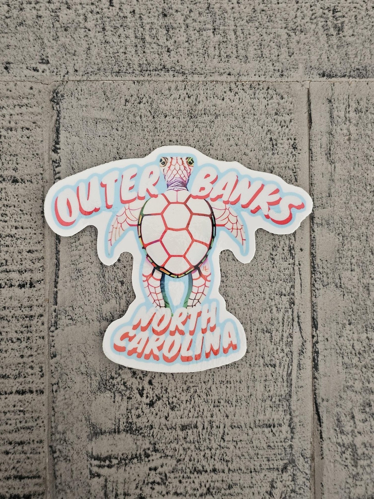 North Carolina Outer Banks Turtle
