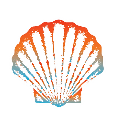 Hatteras Life  Seashell Vinyl Sticker